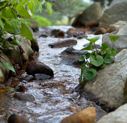 Closeup of small stream