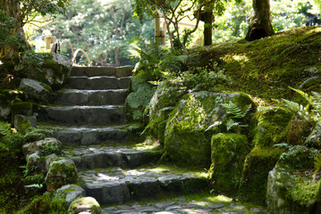 Moss covered stairs in brightly lit garden