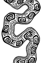snake, Python 31