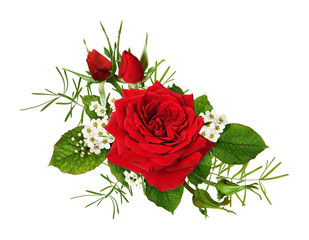 Red rose flower and green leaves in a floral arrangement