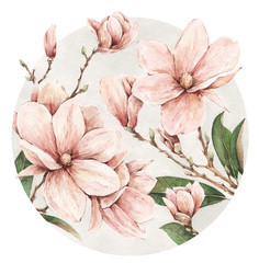 Watercolor magnolia illustration on a white background
