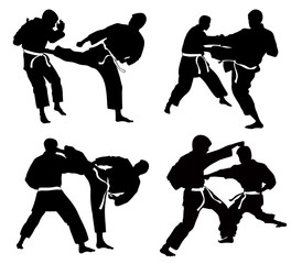 Set of four silhouettes in a karate sport match © Dobrydnev