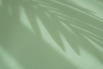 Obraz premium Tropical palm tree and leaves shadow on green background, summer, vacation, nature.