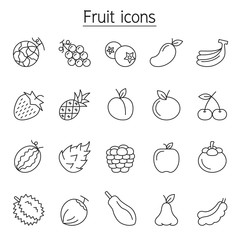 Fruit icon set in thin line style