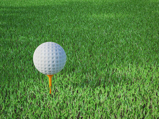 Golf ball on tee