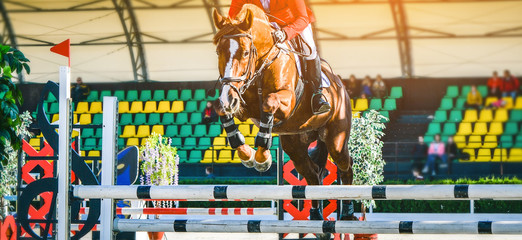 Riderl on sorrel horse in jumping show, equestrian sports. Light-brown horse and sportsman in...