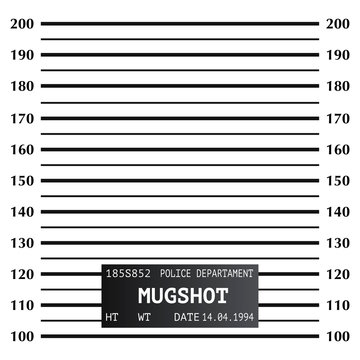 Vector illustration template of a police criminal photograph. Criminal Mugshot with a scale in centimeters