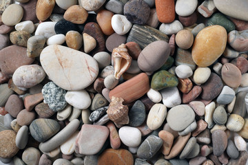 Gravel pattern of colored stones with shell. Abstract nature pebbles background.Small sea stones on the beach, vacation at sea. Top view 