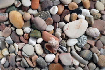 Gravel pattern of colored stones with shell. Abstract nature pebbles background.Small sea stones on the beach, vacation at sea. Top view 