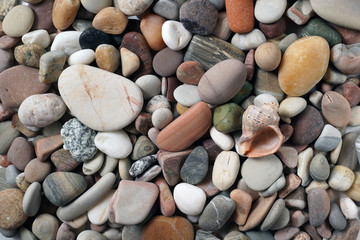 Gravel pattern of colored stones with shell. Abstract nature pebbles background.Small sea stones on the beach, vacation at sea. Top view 