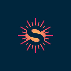 Letter S Logo Vector Template