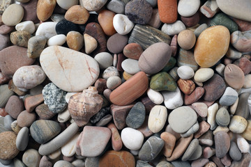 Gravel pattern of colored stones with shell. Abstract nature pebbles background.Small sea stones on the beach, vacation at sea. Top view 