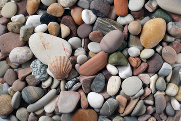Gravel pattern of colored stones with shell. Abstract nature pebbles background.Small sea stones on the beach, vacation at sea. Top view 