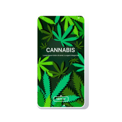 cannabis or marijuana leaves background drug consumption concept smartphone screen mobile app copy space vector illustration