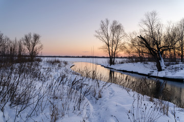 Winter landscape-frosty trees in a snow-covered birch forest on a Sunny morning. Calm winter nature in sunlight