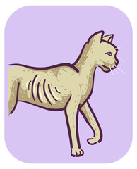 Cat Symptom Weight Loss Illustration