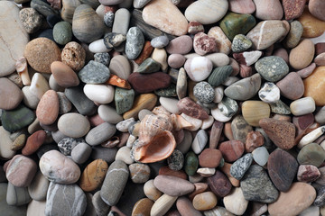 Gravel pattern of colored stones with shell. Abstract nature pebbles background.Small sea stones on the beach, vacation at sea. Top view 