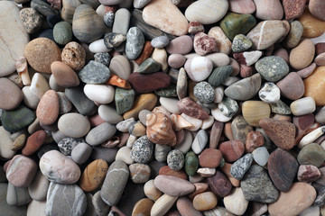 Gravel pattern of colored stones with shell. Abstract nature pebbles background.Small sea stones on the beach, vacation at sea. Top view 