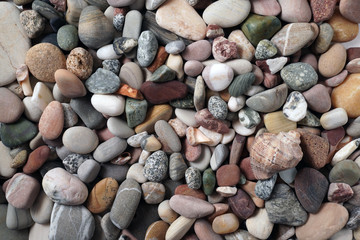 Gravel pattern of colored stones with shell. Abstract nature pebbles background.Small sea stones on the beach, vacation at sea. Top view 