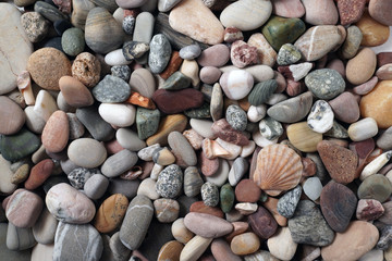 Gravel pattern of colored stones with shell. Abstract nature pebbles background.Small sea stones on the beach, vacation at sea. Top view 