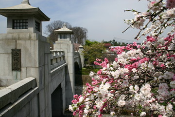 春の多摩御陵参道入口の橋と桜