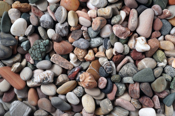Gravel pattern of colored stones with shell. Abstract nature pebbles background.Small sea stones on the beach, vacation at sea. Top view 