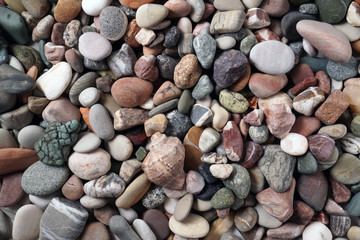 Gravel pattern of colored stones with shell. Abstract nature pebbles background.Small sea stones on the beach, vacation at sea. Top view 
