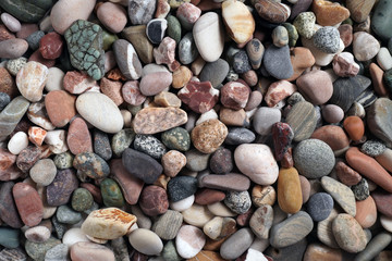 Gravel pattern of colored stones with shell. Abstract nature pebbles background.Small sea stones on the beach, vacation at sea. Top view   