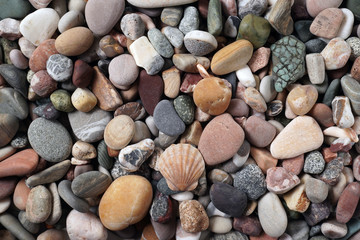 Gravel pattern of colored stones with shell. Abstract nature pebbles background.Small sea stones on the beach, vacation at sea. Top view 