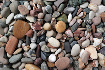 Gravel pattern of colored stones with shell. Abstract nature pebbles background.Small sea stones on the beach, vacation at sea. Top view   
