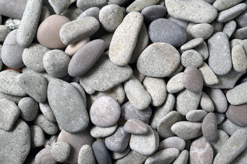 Gravel pattern of colored stones with shell. Abstract nature pebbles background.Small sea stones on the beach, vacation at sea. Top view   