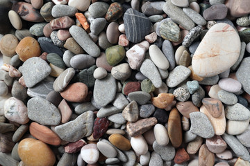 Gravel pattern of colored stones with shell. Abstract nature pebbles background.Small sea stones on the beach, vacation at sea. Top view   