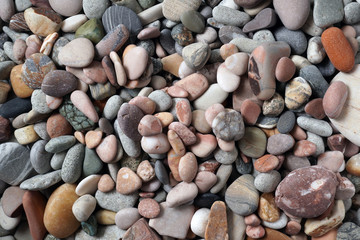 Gravel pattern of colored stones with shell. Abstract nature pebbles background.Small sea stones on the beach, vacation at sea. Top view   
