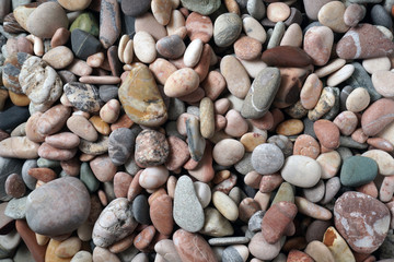 Gravel pattern of colored stones with shell. Abstract nature pebbles background.Small sea stones on the beach, vacation at sea. Top view   