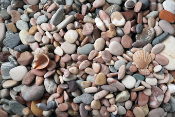 Gravel pattern of colored stones with shell. Abstract nature pebbles background.Small sea stones on the beach, vacation at sea. Top view 