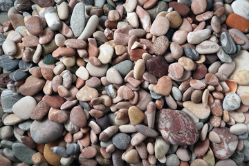 Gravel pattern of colored stones with shell. Abstract nature pebbles background.Small sea stones on the beach, vacation at sea. Top view   