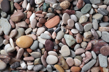 Gravel pattern of colored stones with shell. Abstract nature pebbles background.Small sea stones on the beach, vacation at sea. Top view   