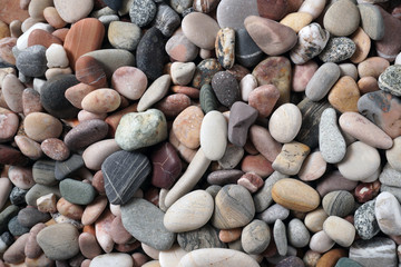 Gravel pattern of colored stones with shell. Abstract nature pebbles background.Small sea stones on the beach, vacation at sea. Top view   