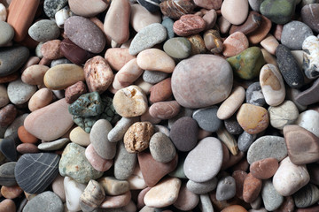 Gravel pattern of colored stones with shell. Abstract nature pebbles background.Small sea stones on the beach, vacation at sea. Top view   