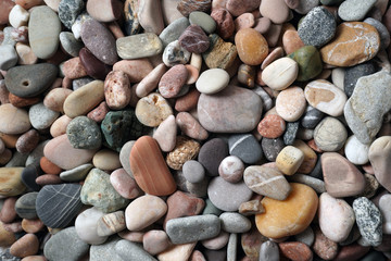 Gravel pattern of colored stones with shell. Abstract nature pebbles background.Small sea stones on the beach, vacation at sea. Top view   