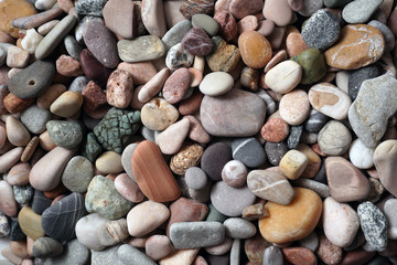 Gravel pattern of colored stones with shell. Abstract nature pebbles background.Small sea stones on the beach, vacation at sea. Top view   