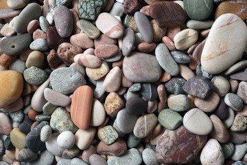 Gravel pattern of colored stones with shell. Abstract nature pebbles background.Small sea stones on the beach, vacation at sea. Top view   