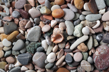 Gravel pattern of colored stones with shell. Abstract nature pebbles background.Small sea stones on the beach, vacation at sea. Top view 