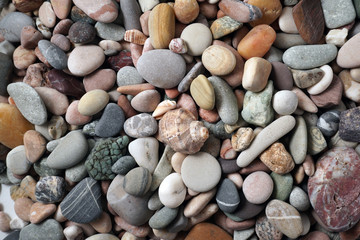 Gravel pattern of colored stones with shell. Abstract nature pebbles background.Small sea stones on the beach, vacation at sea. Top view 
