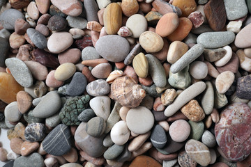 Gravel pattern of colored stones with shell. Abstract nature pebbles background.Small sea stones on the beach, vacation at sea. Top view 