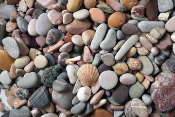 Gravel pattern of colored stones with shell. Abstract nature pebbles background.Small sea stones on the beach, vacation at sea. Top view 