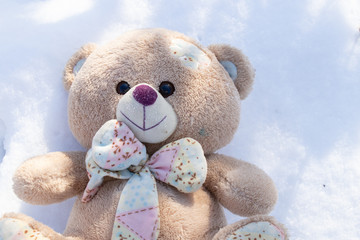 teddy bear lies in the snow on a sunny winter day