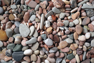 Gravel pattern of colored stones with shell. Abstract nature pebbles background.Small sea stones on the beach, vacation at sea. Top view   