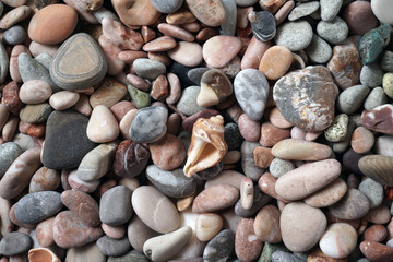 Gravel pattern of colored stones with shell. Abstract nature pebbles background.Small sea stones on the beach, vacation at sea. Top view 