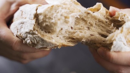Hands hold and break a large appetizing loaf of bread with a crispy baked crust. Selective focus.